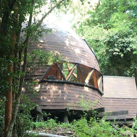 Апартаменты Domos Hijos Del Bosque Коньярипе Экстерьер фото