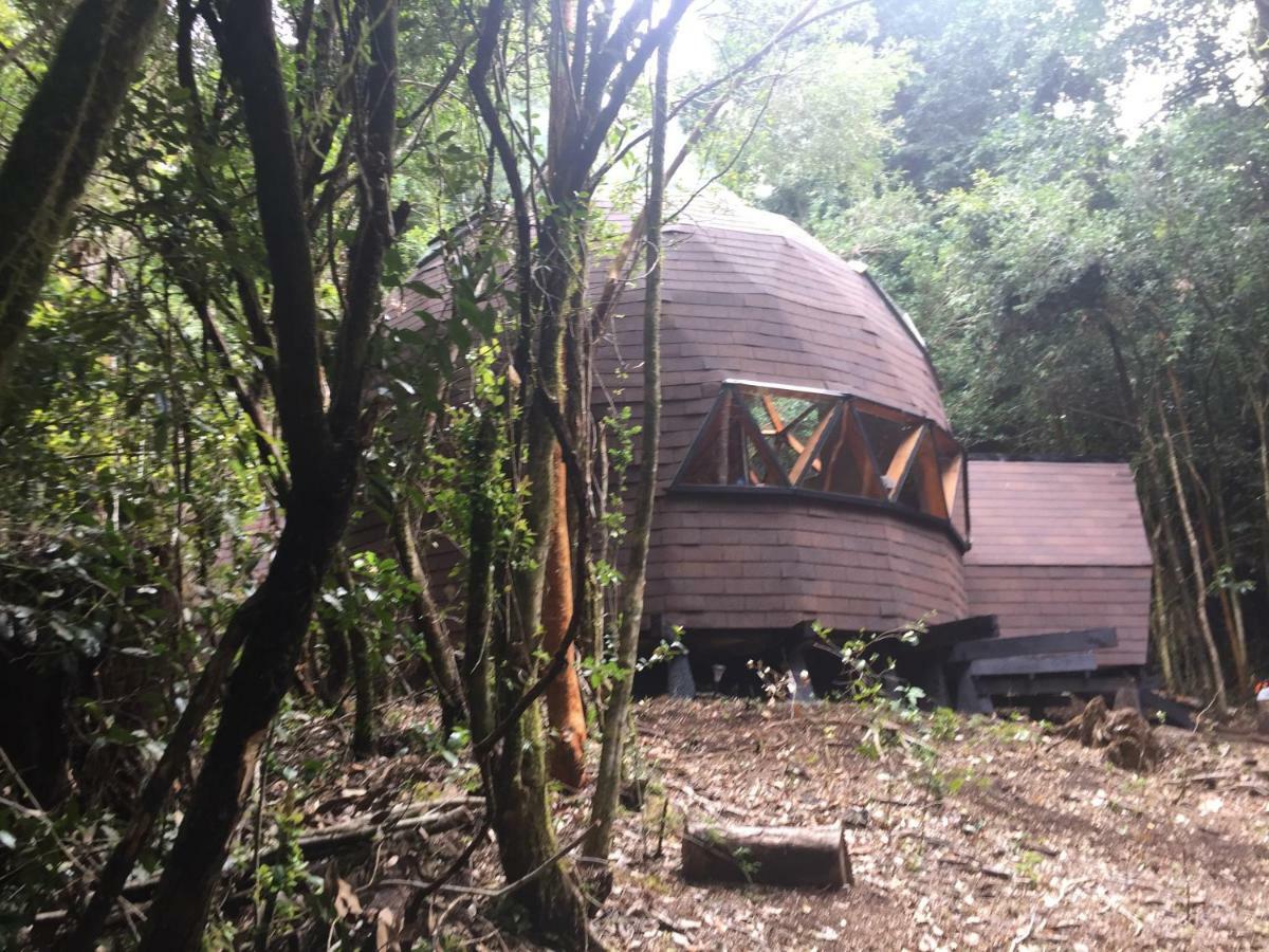 Апартаменты Domos Hijos Del Bosque Коньярипе Экстерьер фото