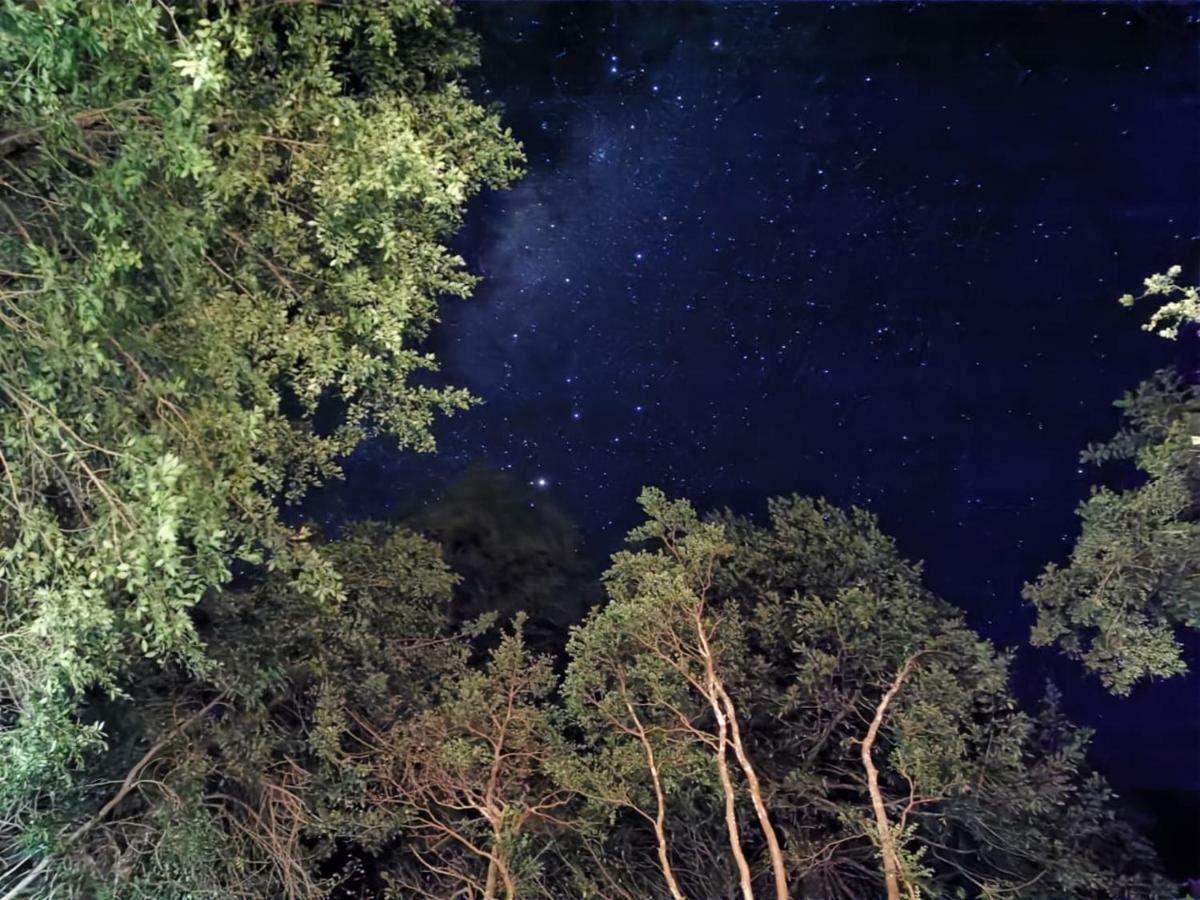 Апартаменты Domos Hijos Del Bosque Коньярипе Экстерьер фото